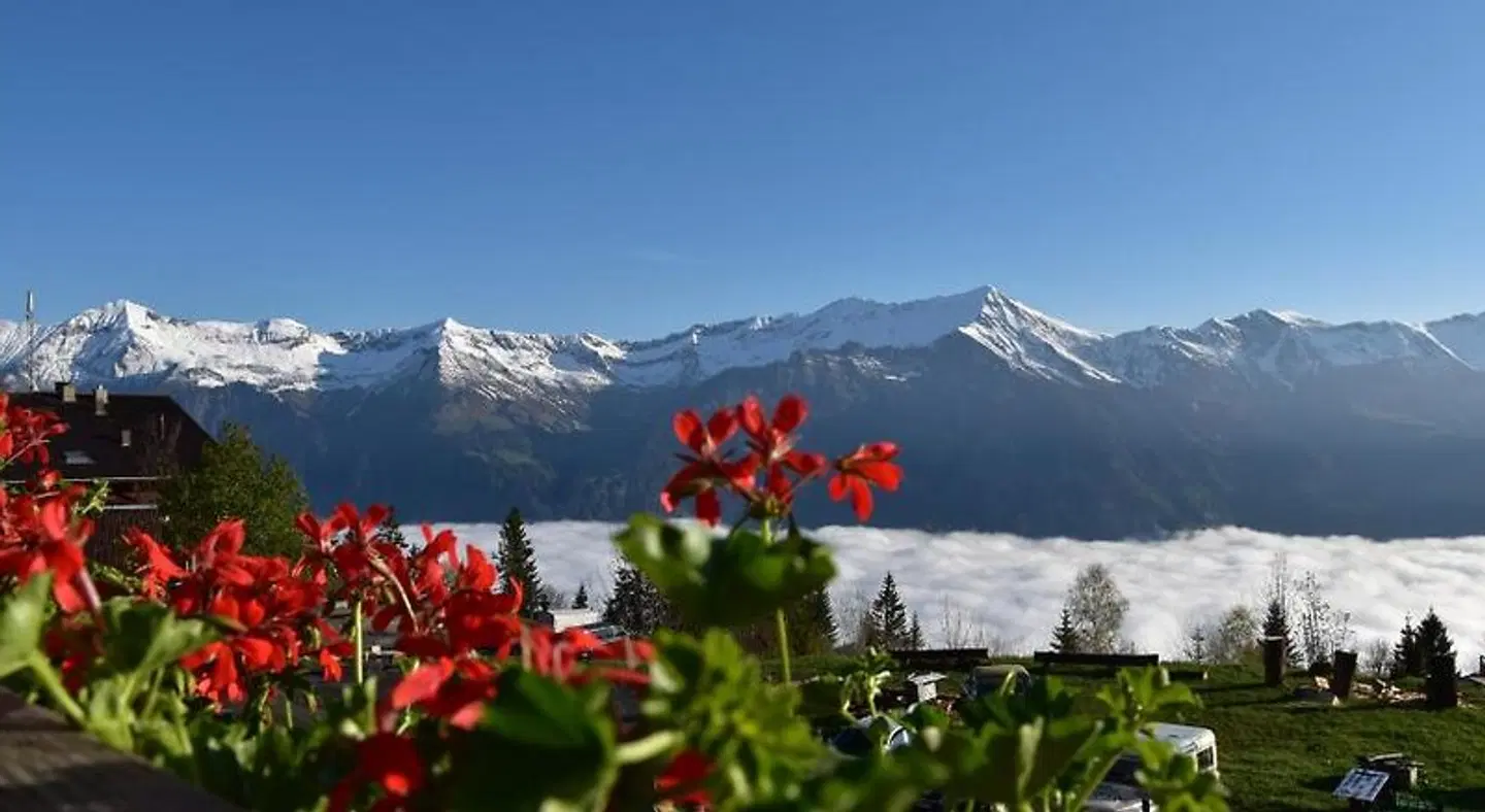 Chemihuttli Apartments Axalp EXTERIOR