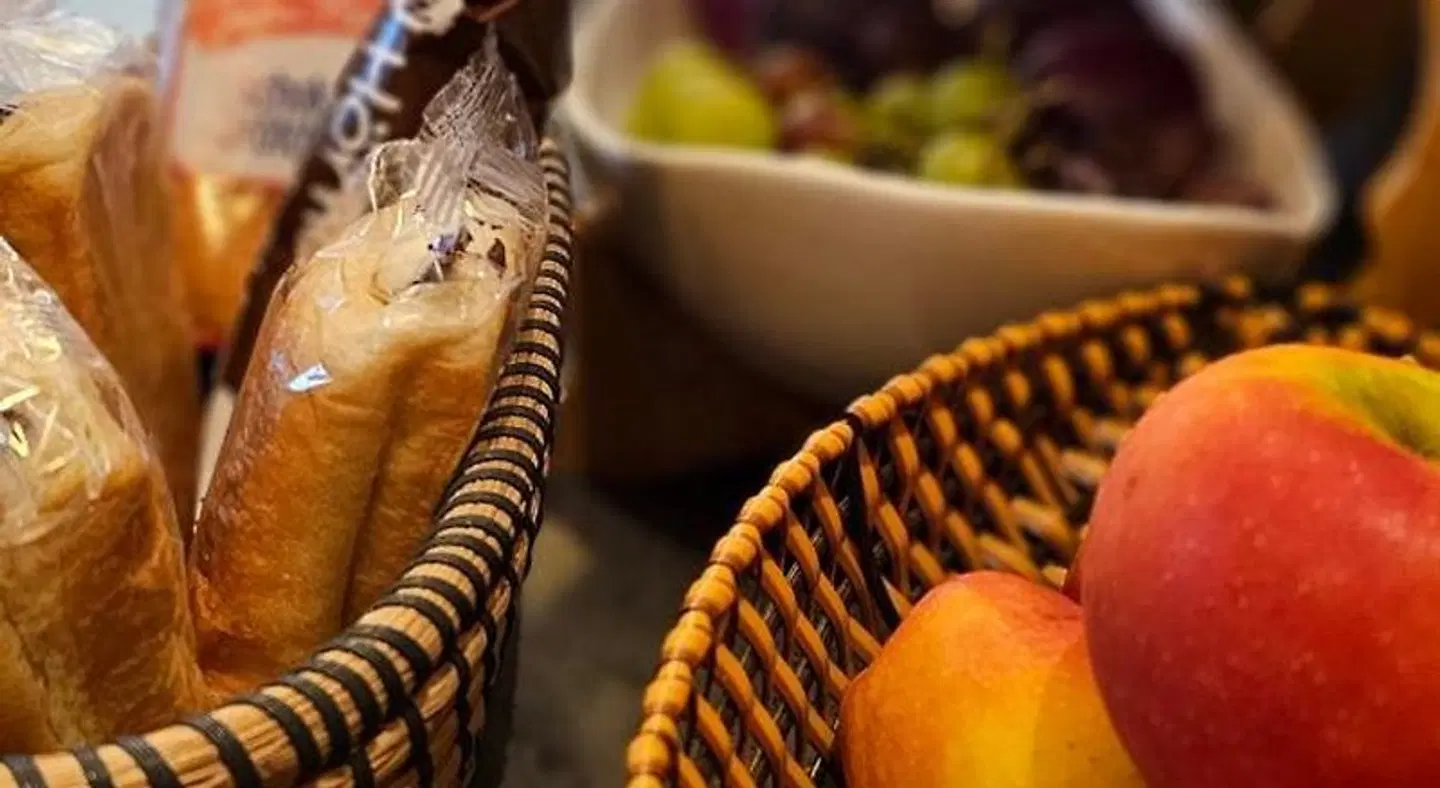 Hotel Schatthaus ANIMAL