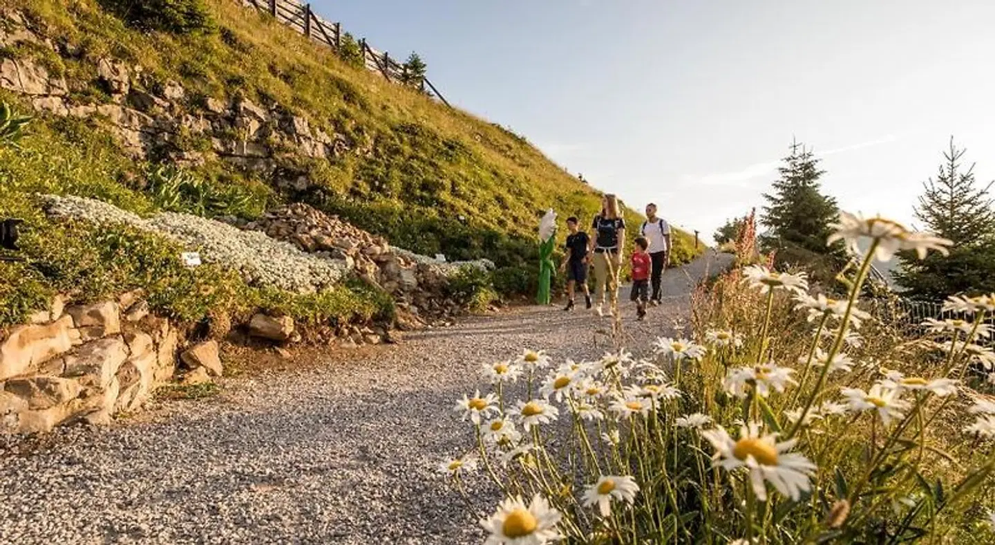 Berghotel Schynige Platte LANDSCAPE