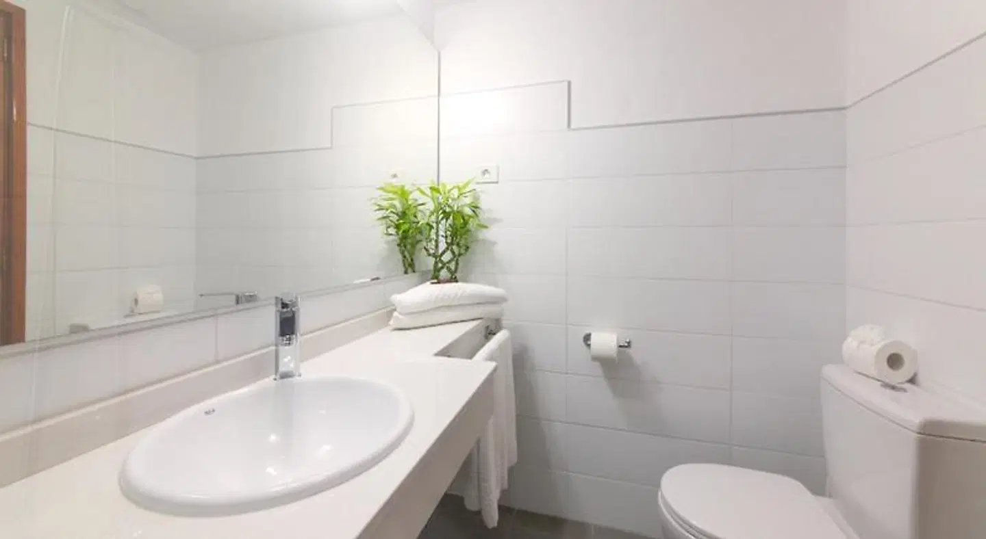 Apartamentos Centro Cancajos BATHROOM