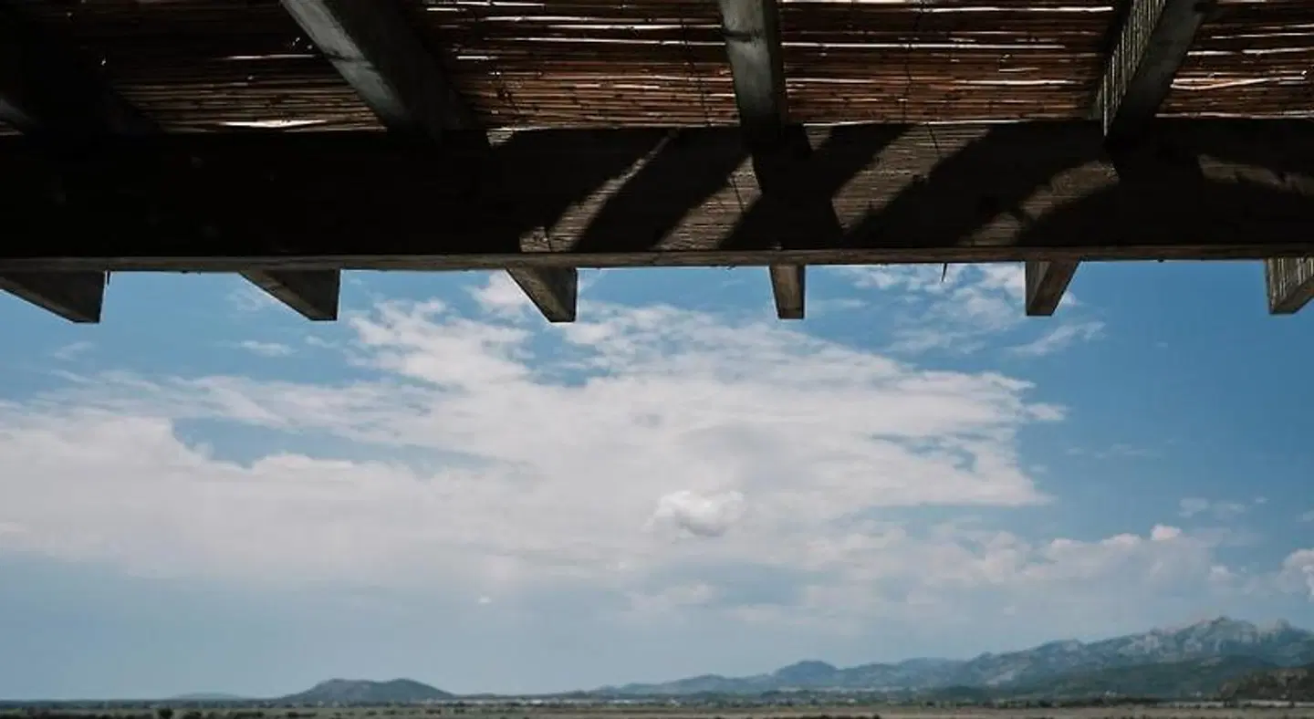 Prinsotel La Dorada & Spa ANIMAL