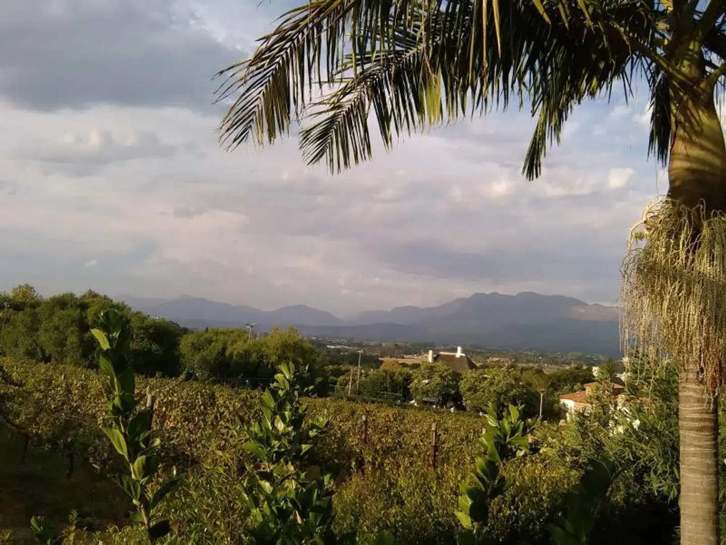 De Wingerd Wijnland Lodge LANDSCAPE