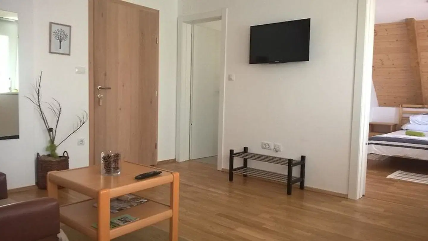 Guesthouse Bor ROOM_EXAMPLE