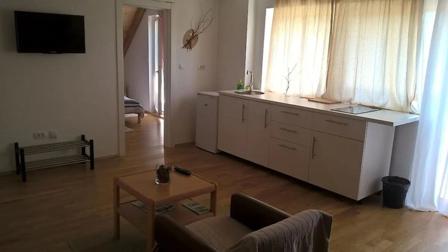 Guesthouse Bor ROOM_EXAMPLE