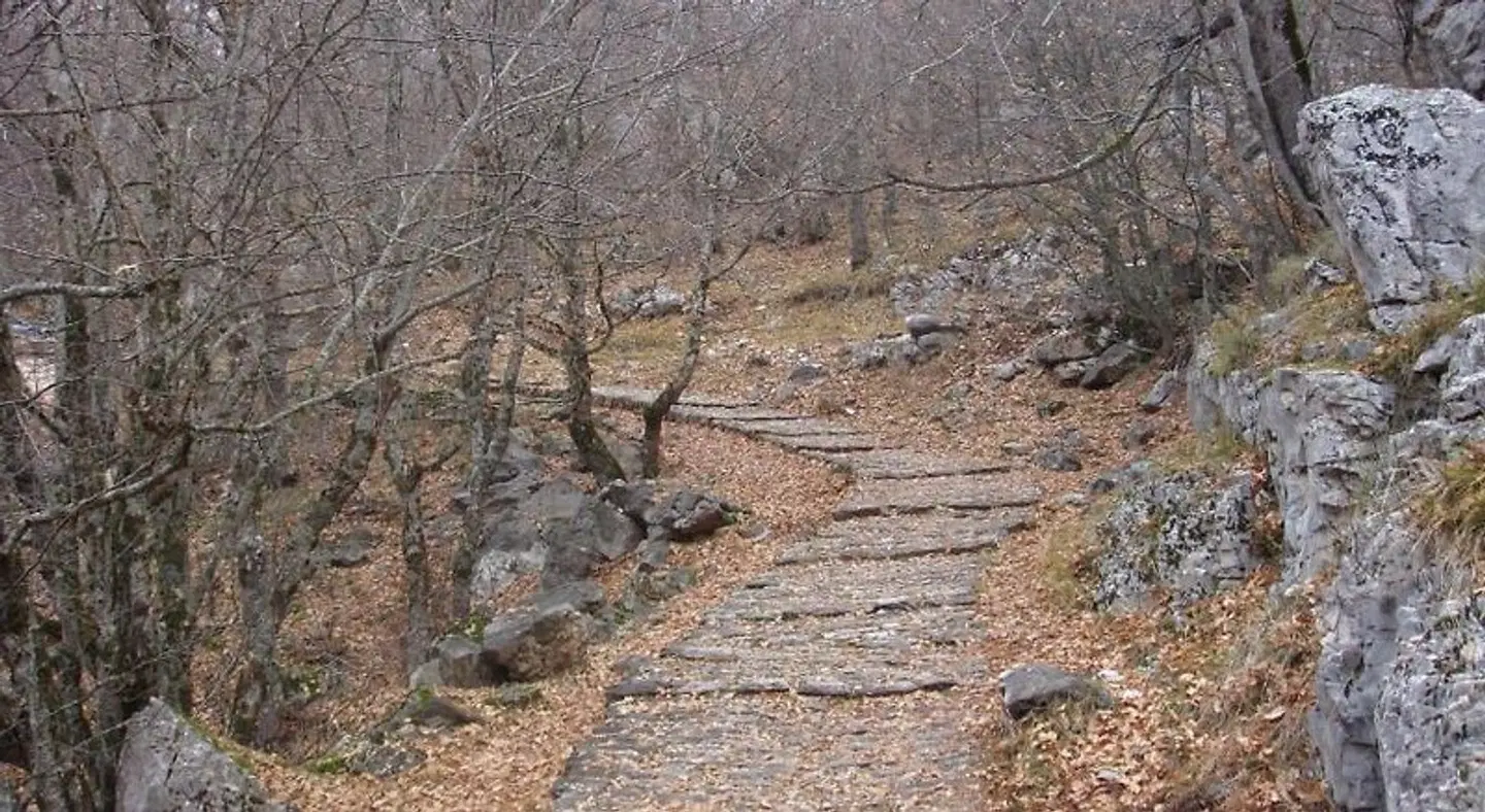 Vikos Hotel LANDSCAPE