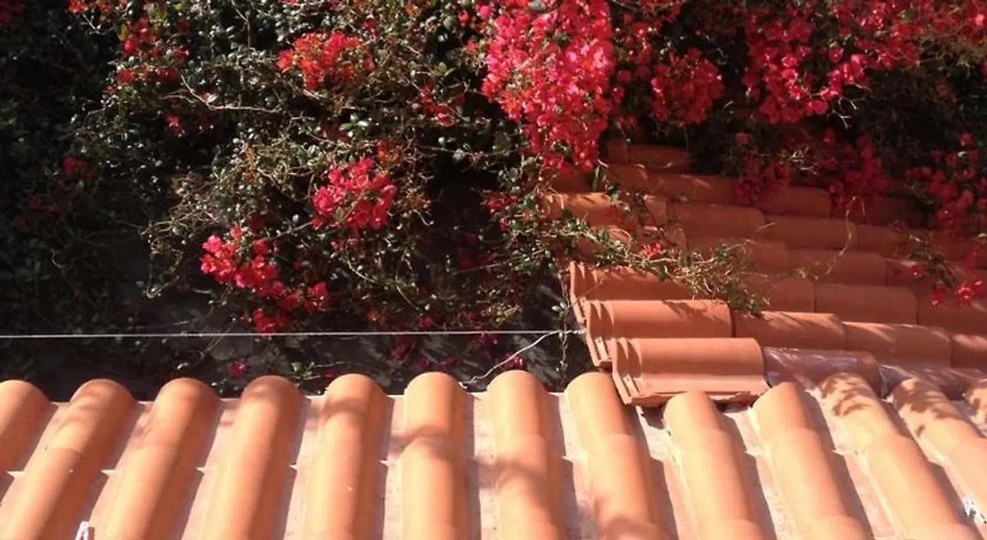 Meliti Guesthouse TERRACE