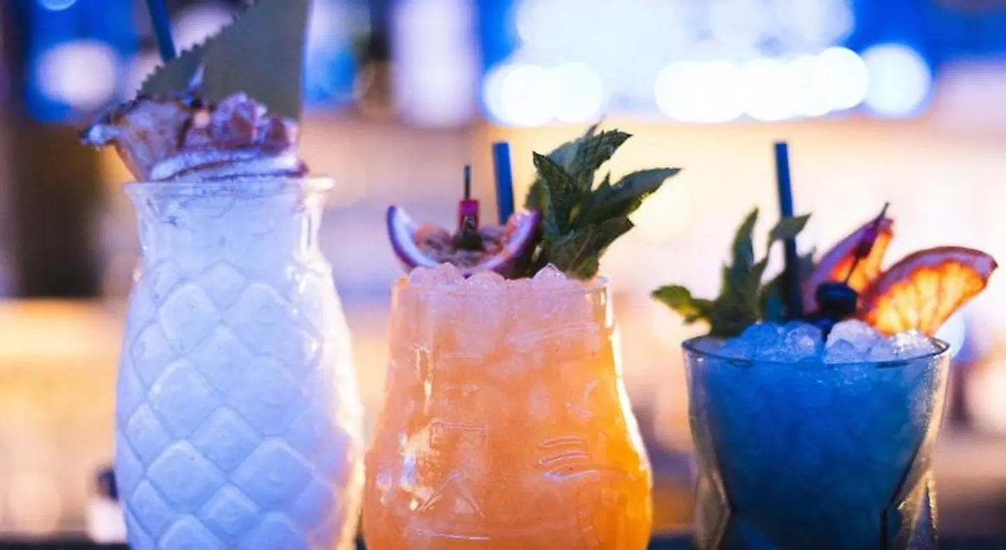 Alcazaba Premium Hostel ANIMAL