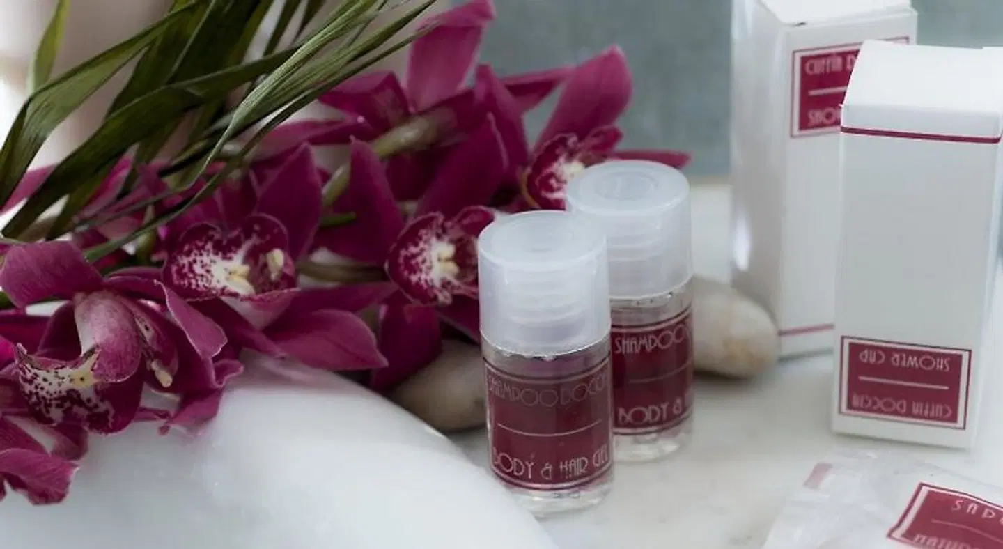 Hotel Des Artistes BATHROOM