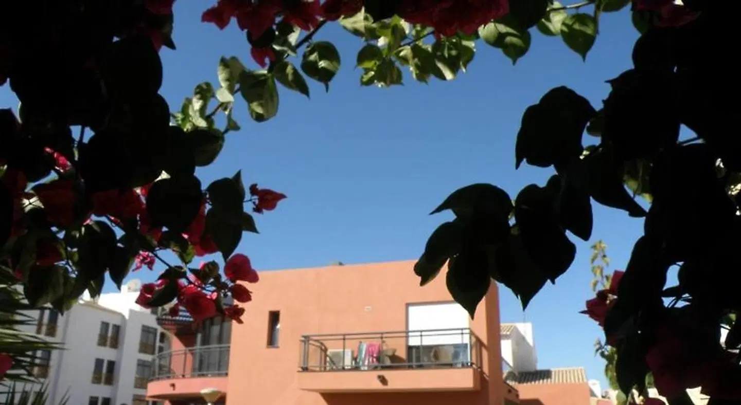 Charming Residence Dom Manuel I - Guesthouse TERRACE