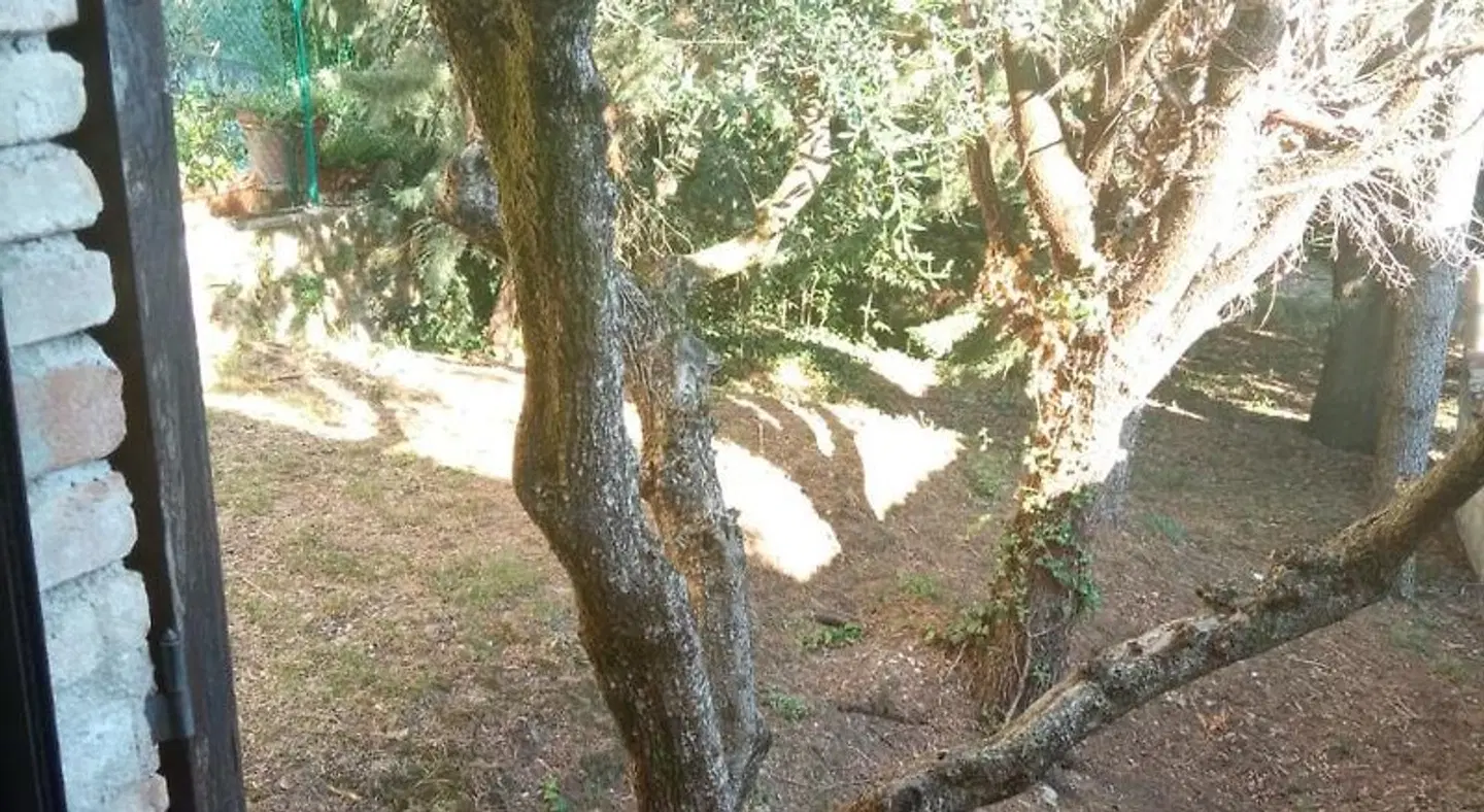 B&B AllOmbra di San Damiano LANDSCAPE