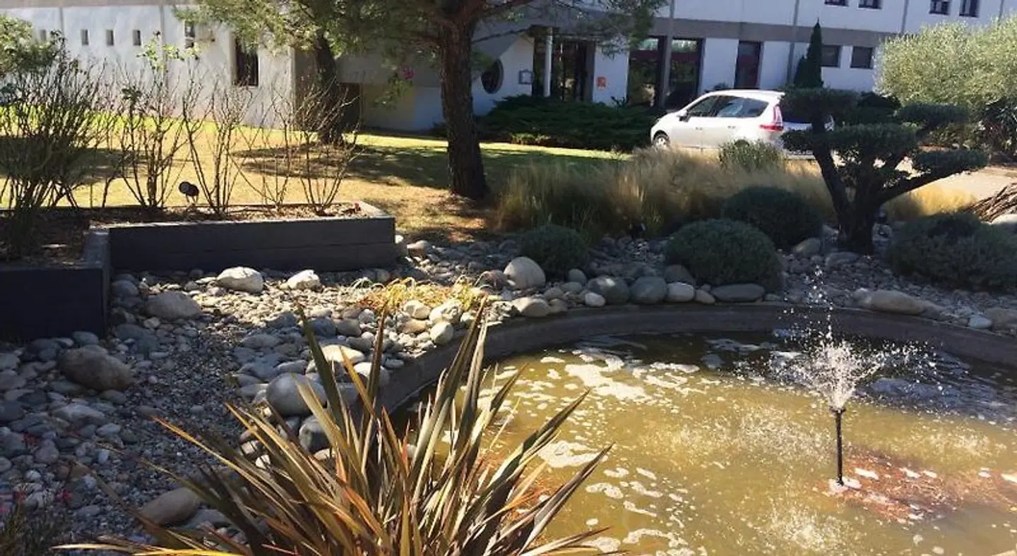 Sous Les Pins ANIMAL