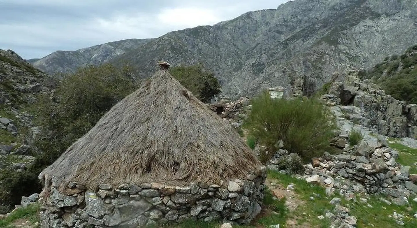Hostal El Cardenillo ANIMAL