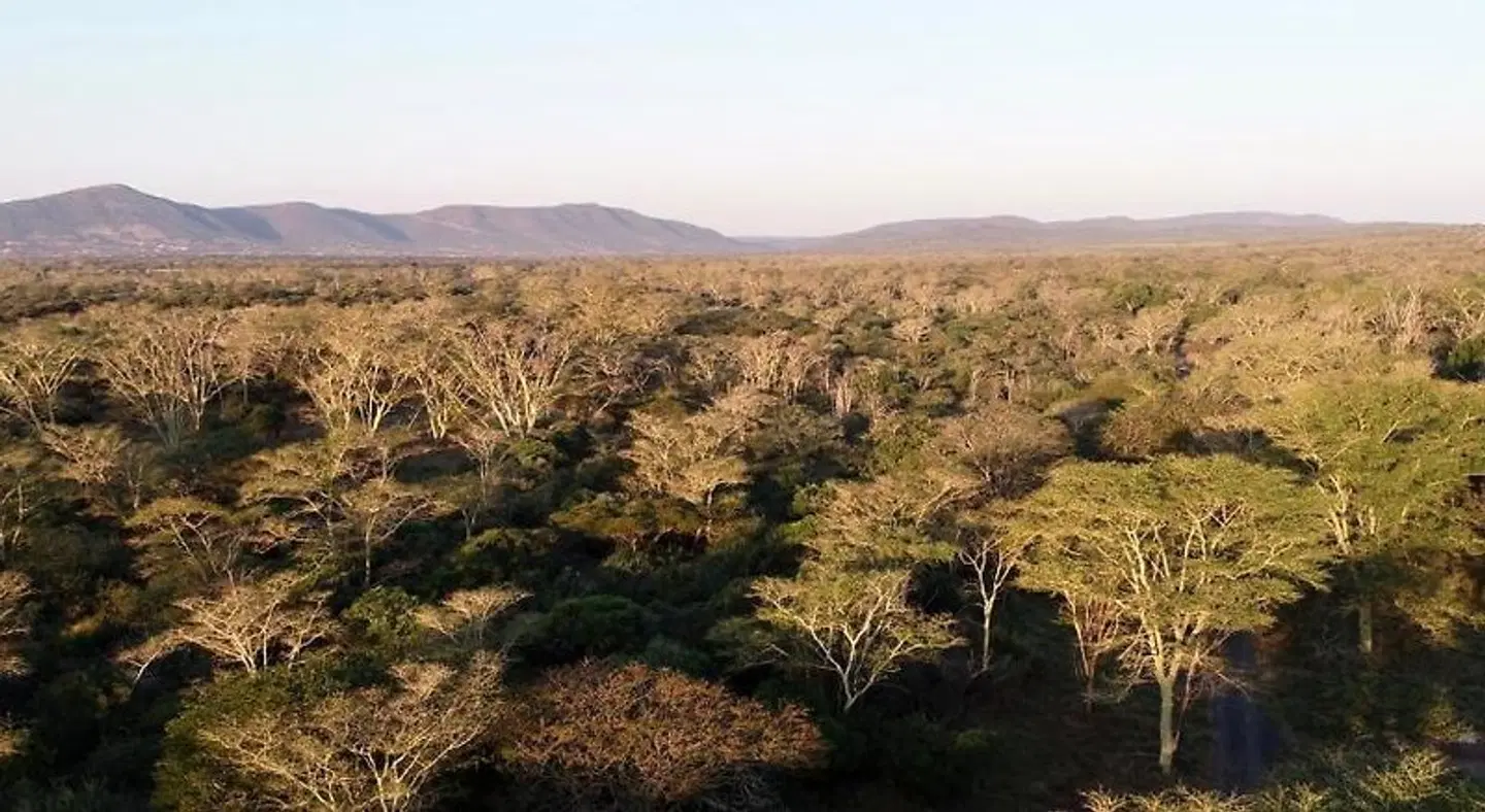 Msunduze River Lodge LANDSCAPE