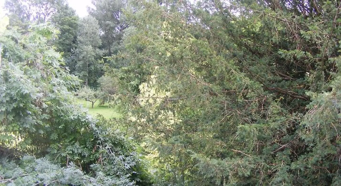 Les Lilas des Deux Ponts LANDSCAPE