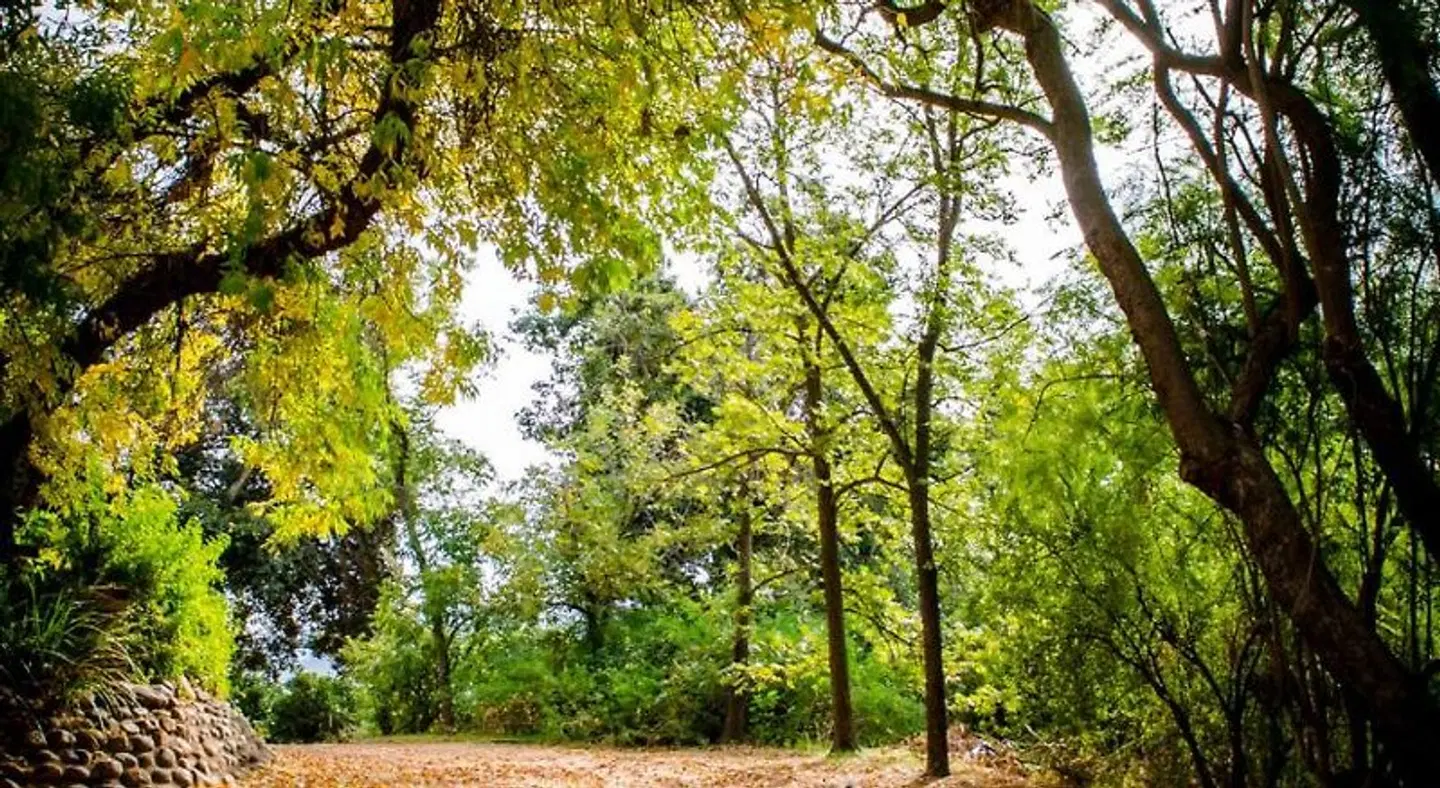 Ukholo Lodge LANDSCAPE
