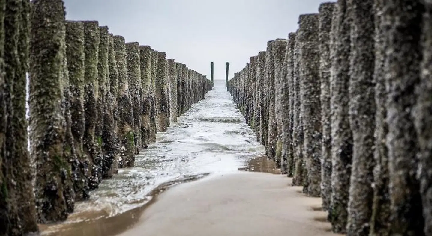 De Gentsche Poort LANDSCAPE