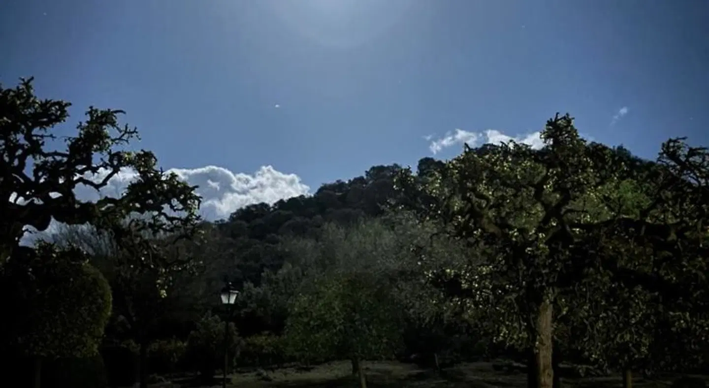 Rural Carlos Astorga LANDSCAPE