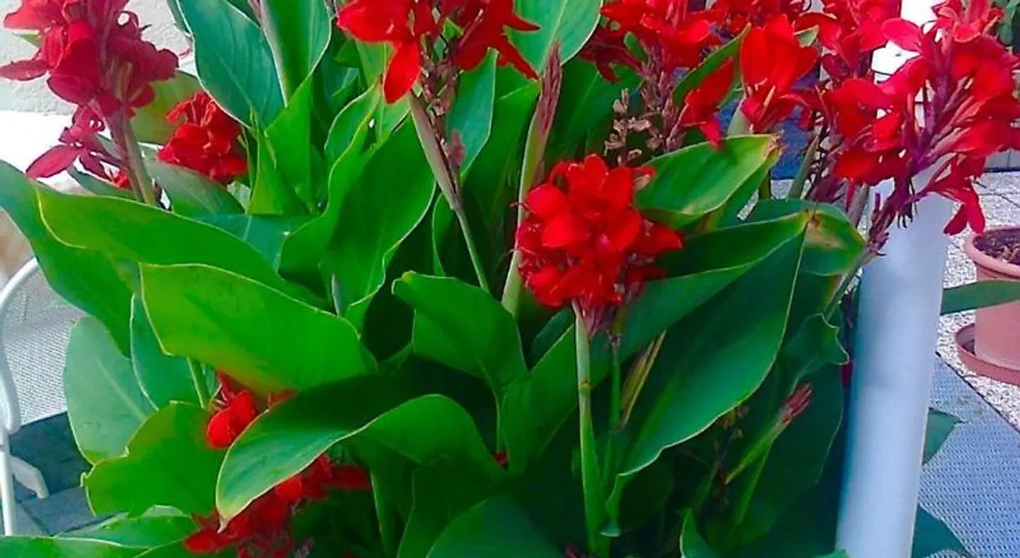 Hotel Turmwirt SPORTS_AND_LEISURE