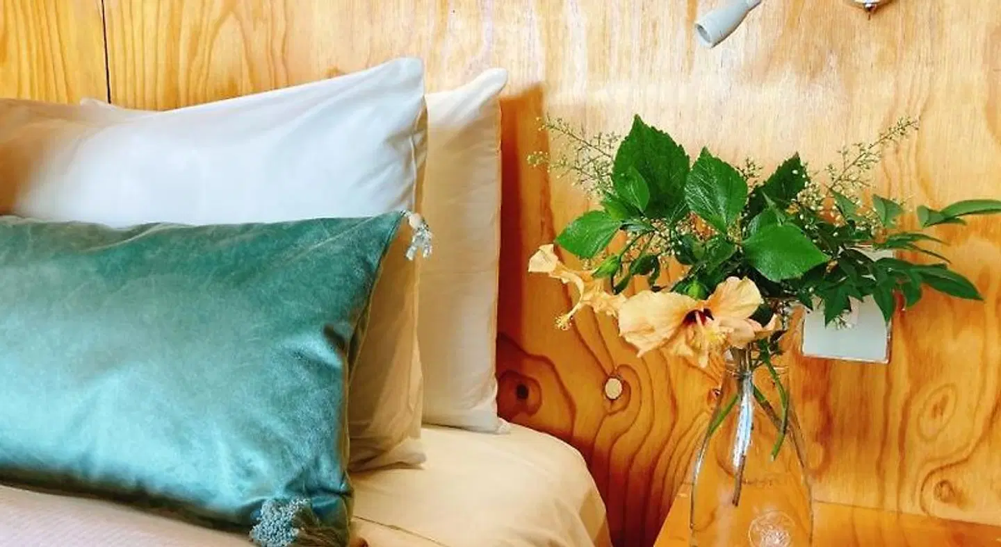 Mister C HEALTH_BEAUTY