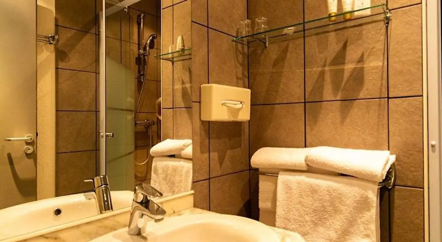 Hôtel-Restaurant L'Etang du Moulin BATHROOM