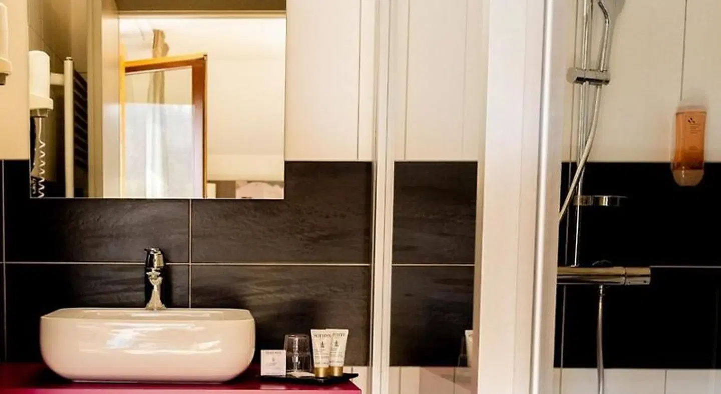 Hôtel-Restaurant L'Etang du Moulin BATHROOM