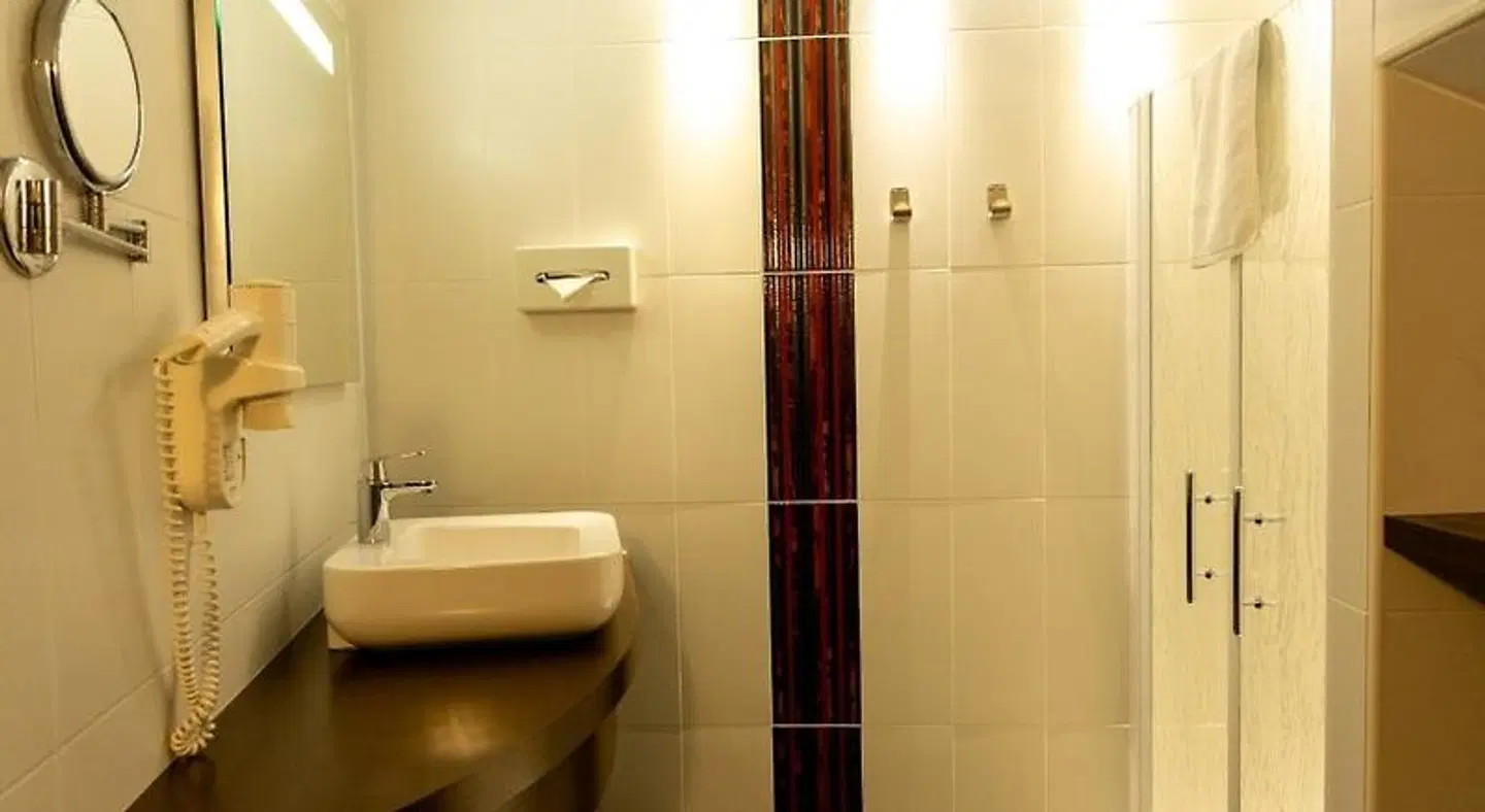 Hôtel-Restaurant L'Etang du Moulin BATHROOM