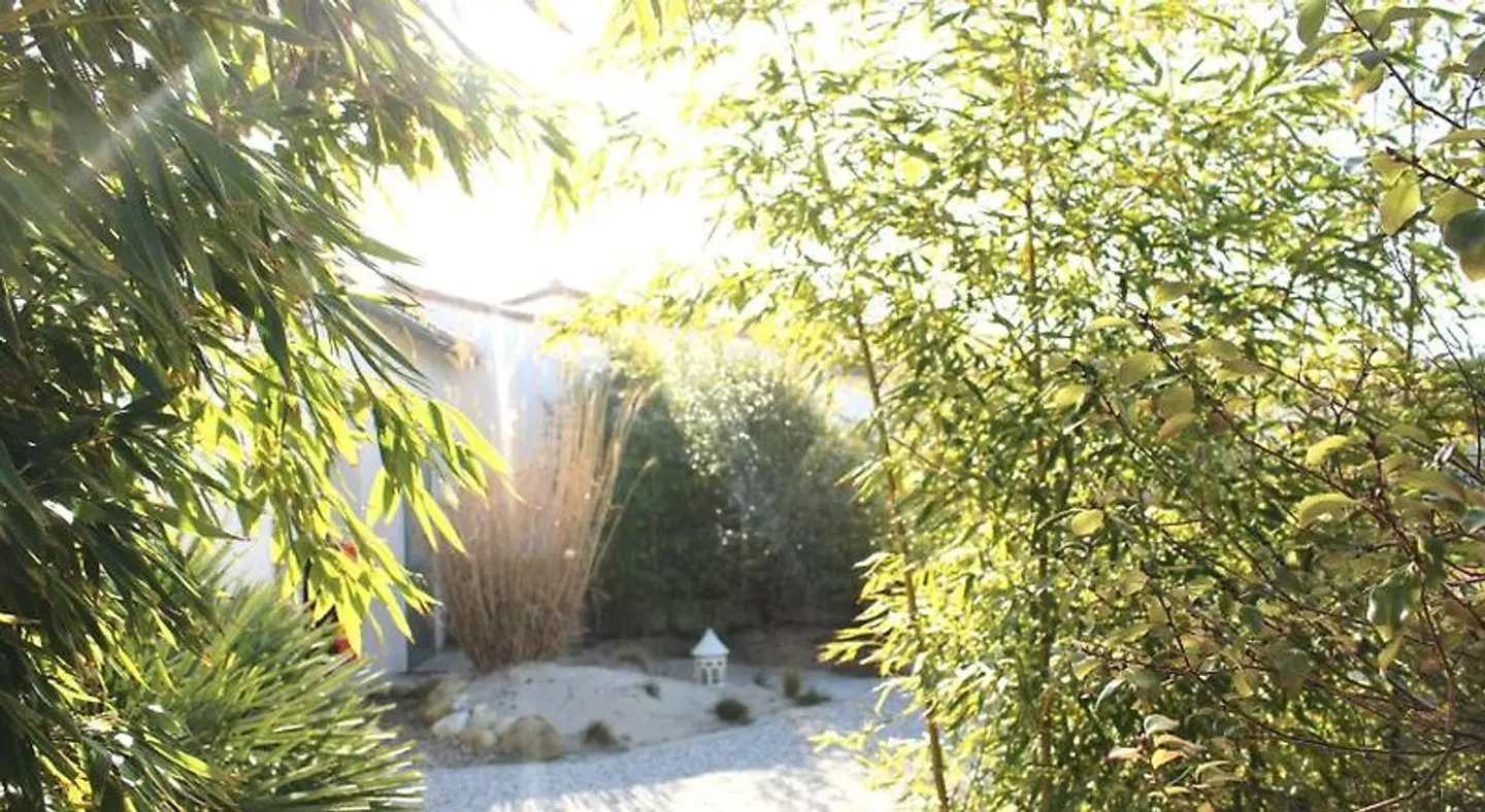 Fleur de Ré LANDSCAPE