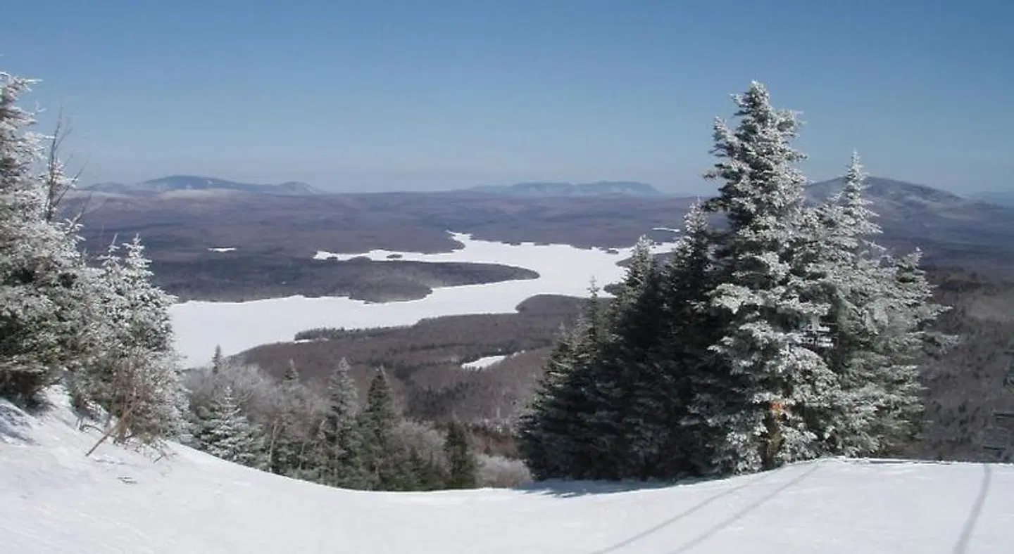 Big Bears Lodge LANDSCAPE