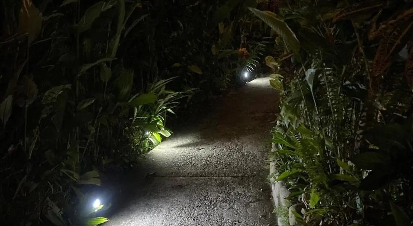 Villas en el Bosque ANIMAL