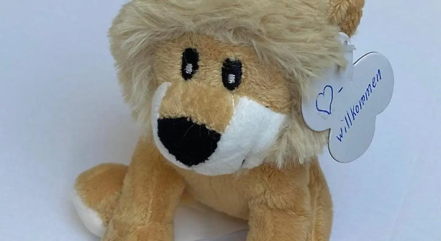 BürgerhausLöwen ANIMAL