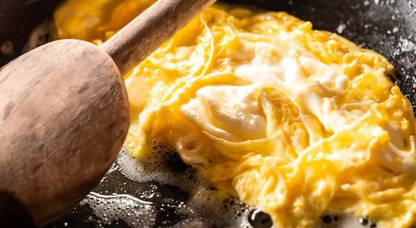 Landgasthof Ochsen ANIMAL