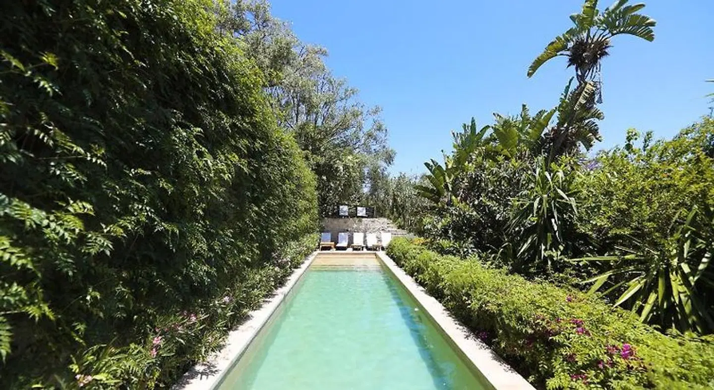 Mimi Calpe GARDEN