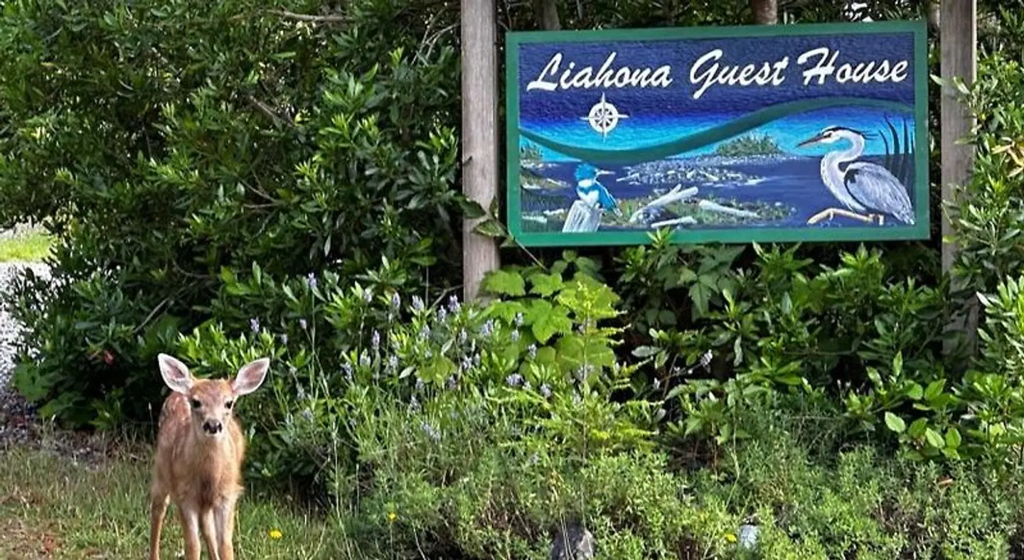 Liahona Guest House EXTERIOR