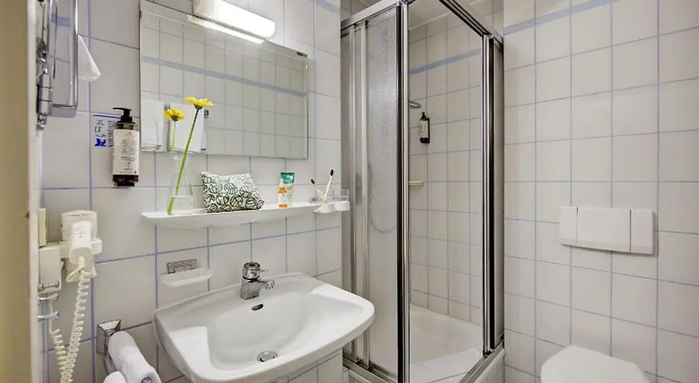 Flair Hotel Sonnenhof BATHROOM