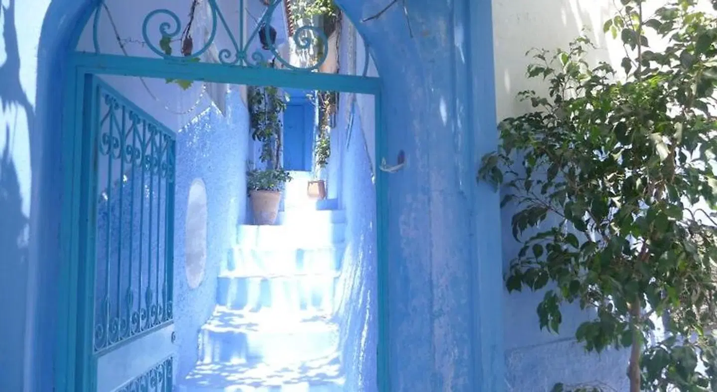 Casa Blue Star HEALTH_BEAUTY