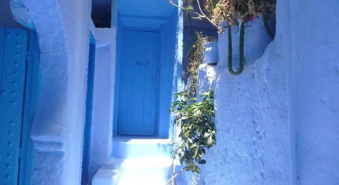 Casa Blue Star INDOOR_POOL