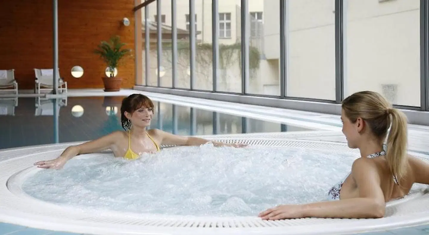 ibis Praha Wenceslas Square INDOOR_POOL