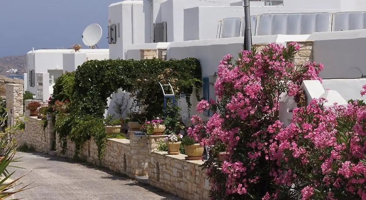 Alexandros Apartments TERRACE