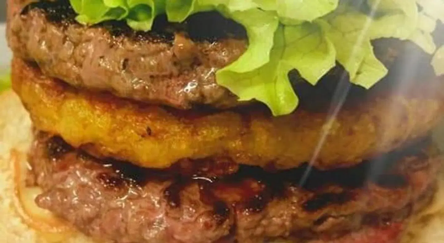 HOTEL L'AMERIVIERE*** ANIMAL