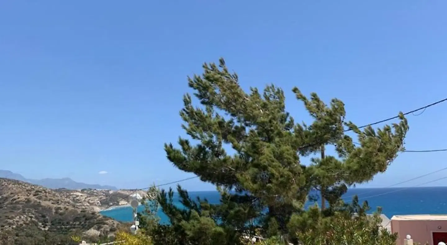 Villa Aliki LANDSCAPE