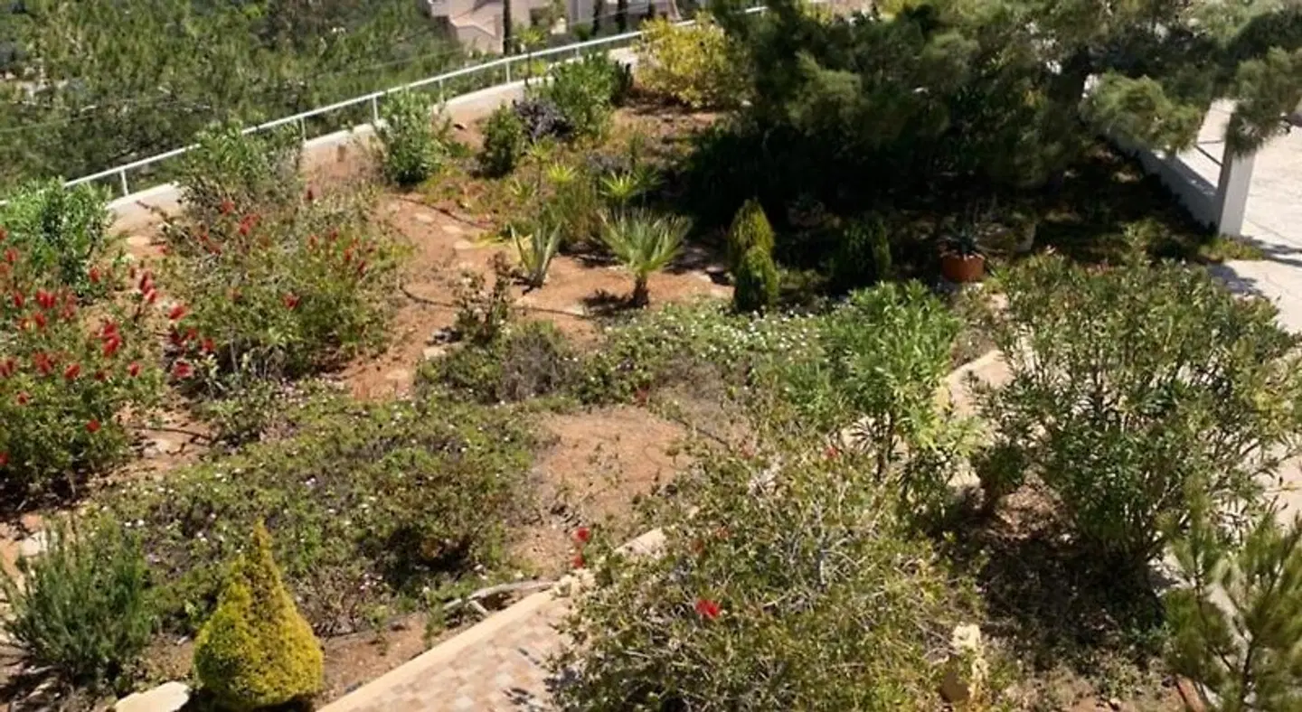 Villa Aliki GARDEN