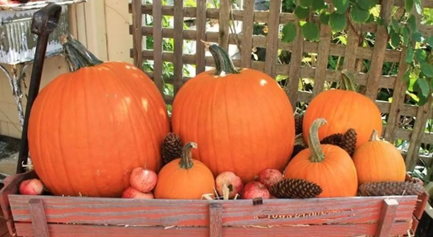 1802 House Bed & Breakfast Inn LOUNGE_LOBBY