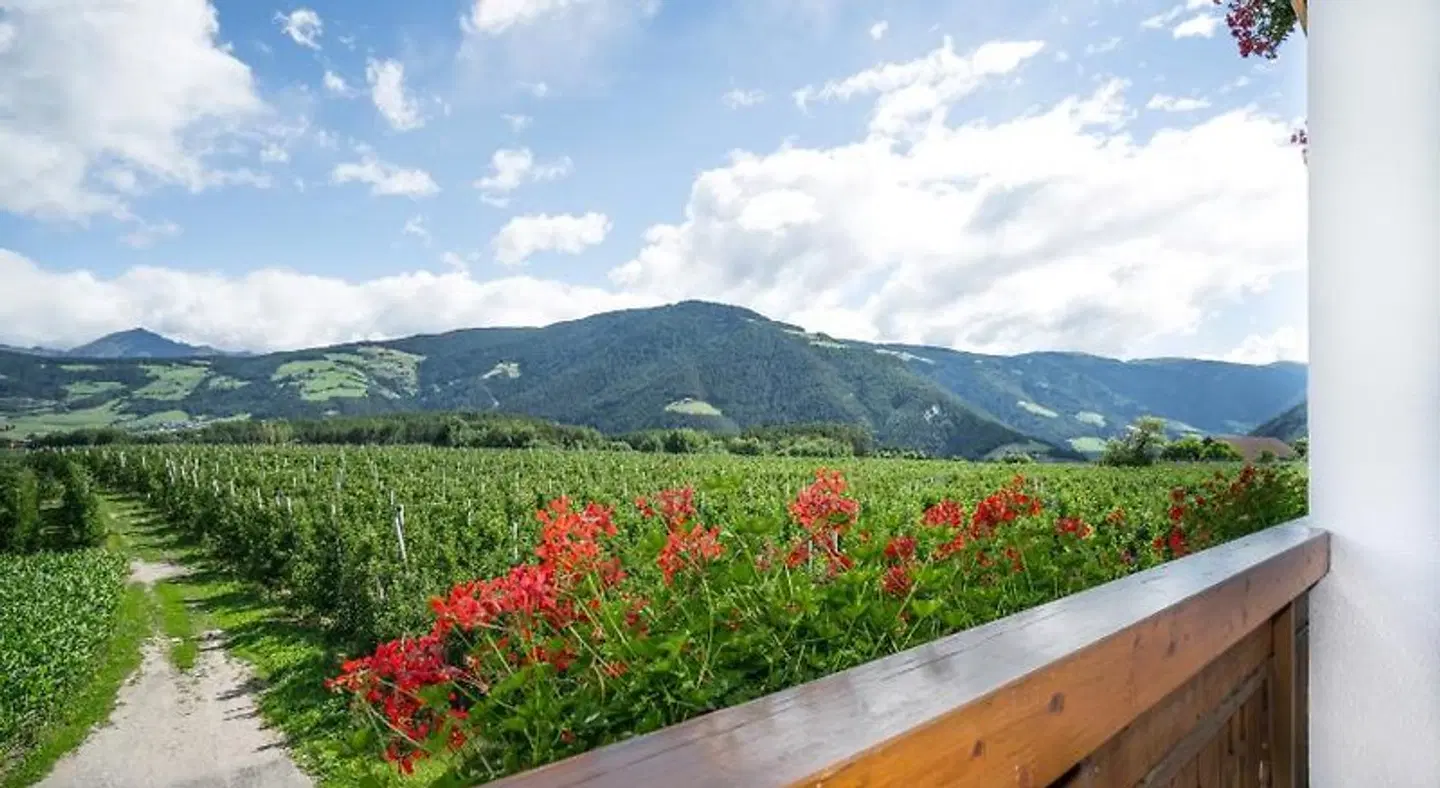 Mineralienhotel Natznerhof LANDSCAPE