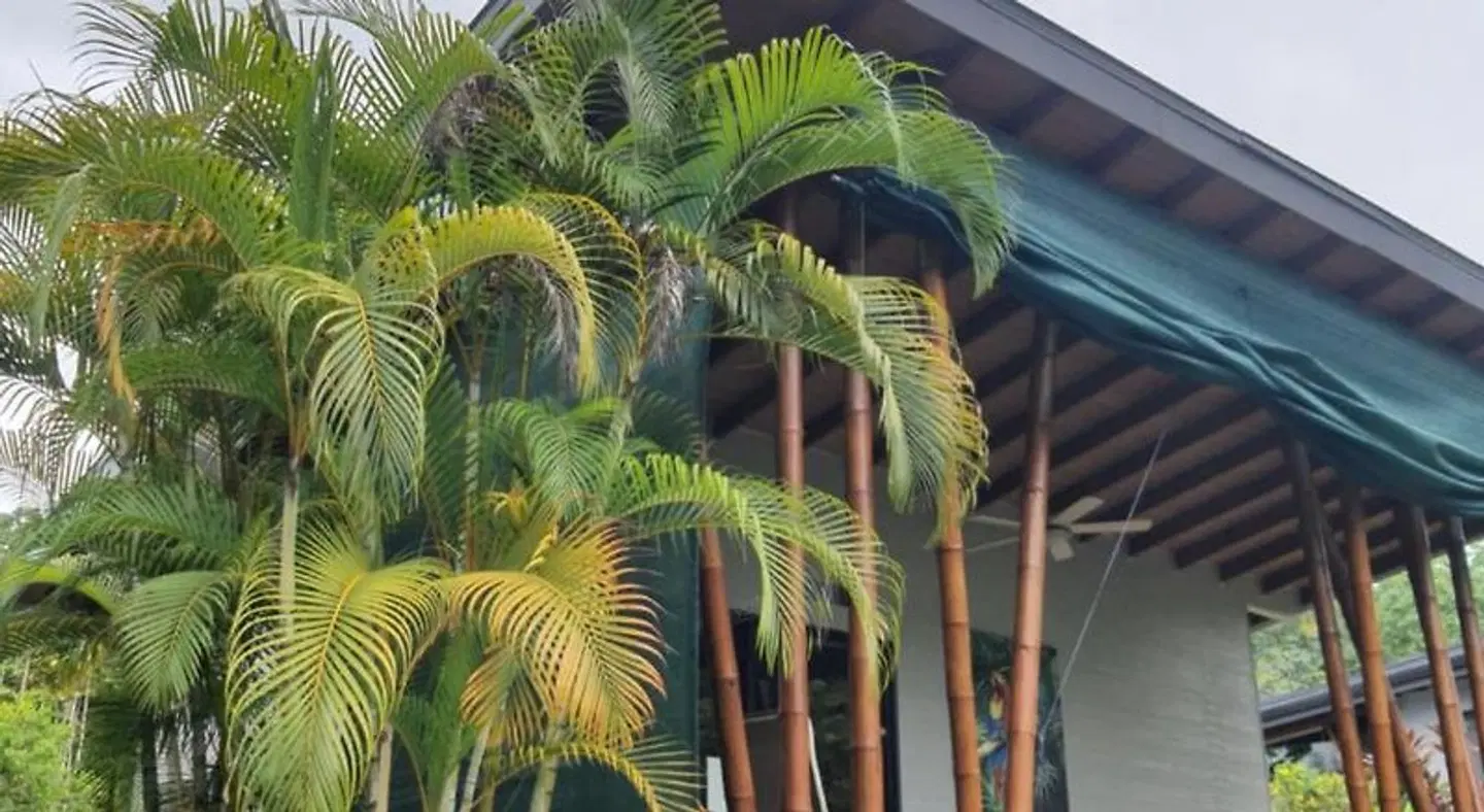 Eden Tica Lodge GARDEN