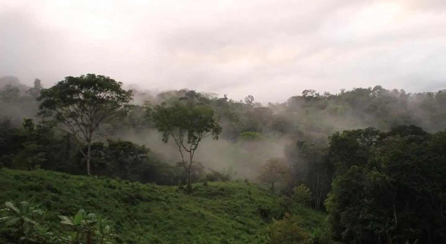 Eden Tica Lodge LANDSCAPE
