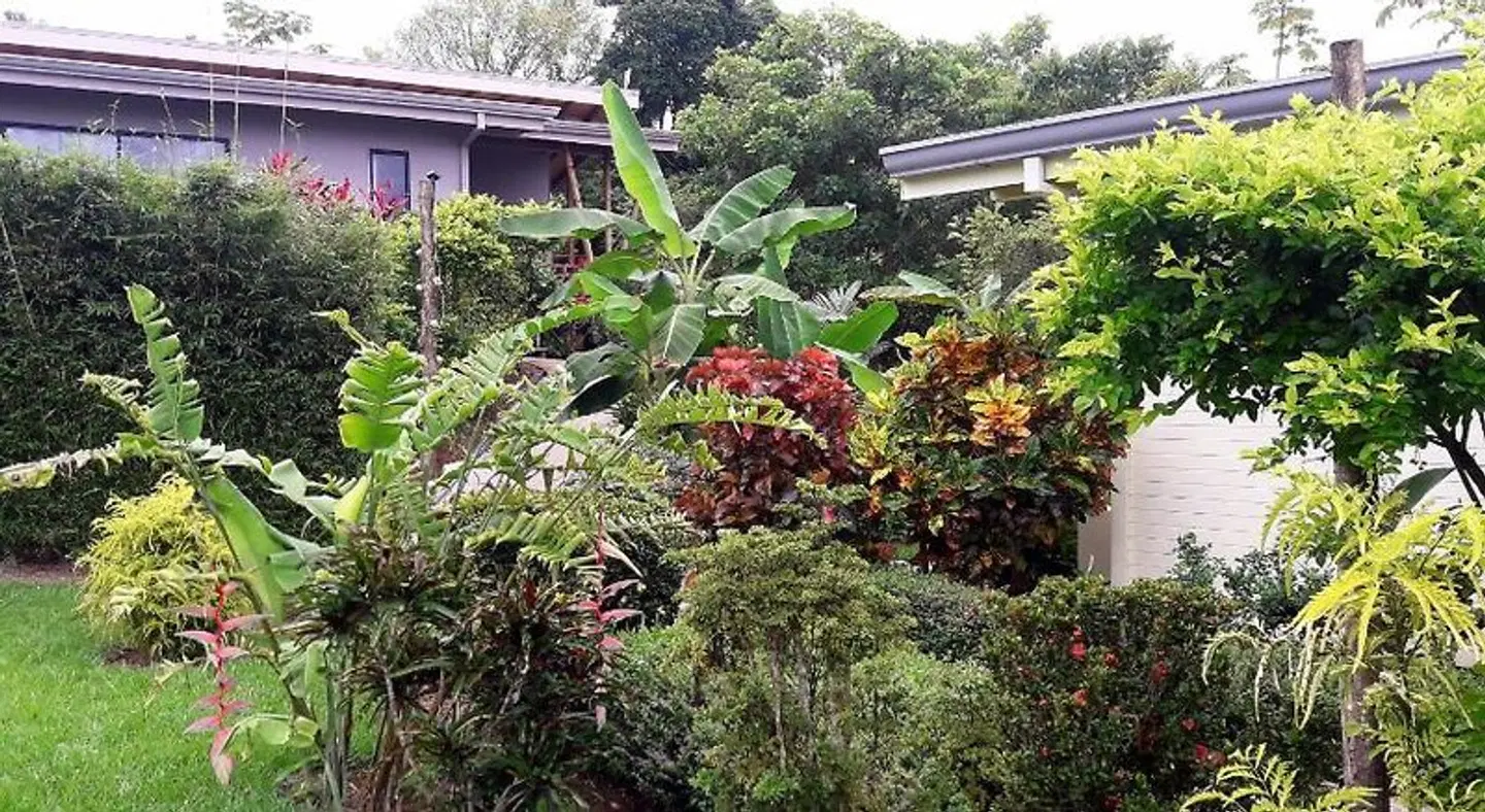 Eden Tica Lodge GARDEN