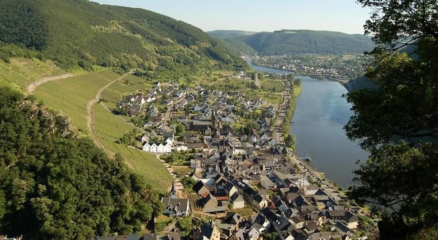 DORMERO Moselhotel Koblenz-Alken LANDSCAPE