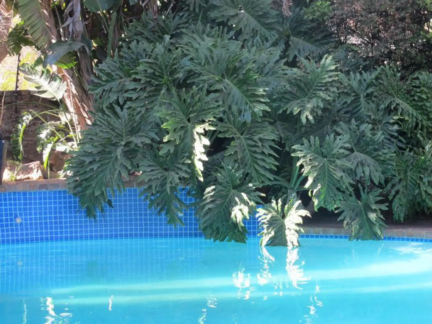 Aero Guest Lodge OUTDOOR_POOL