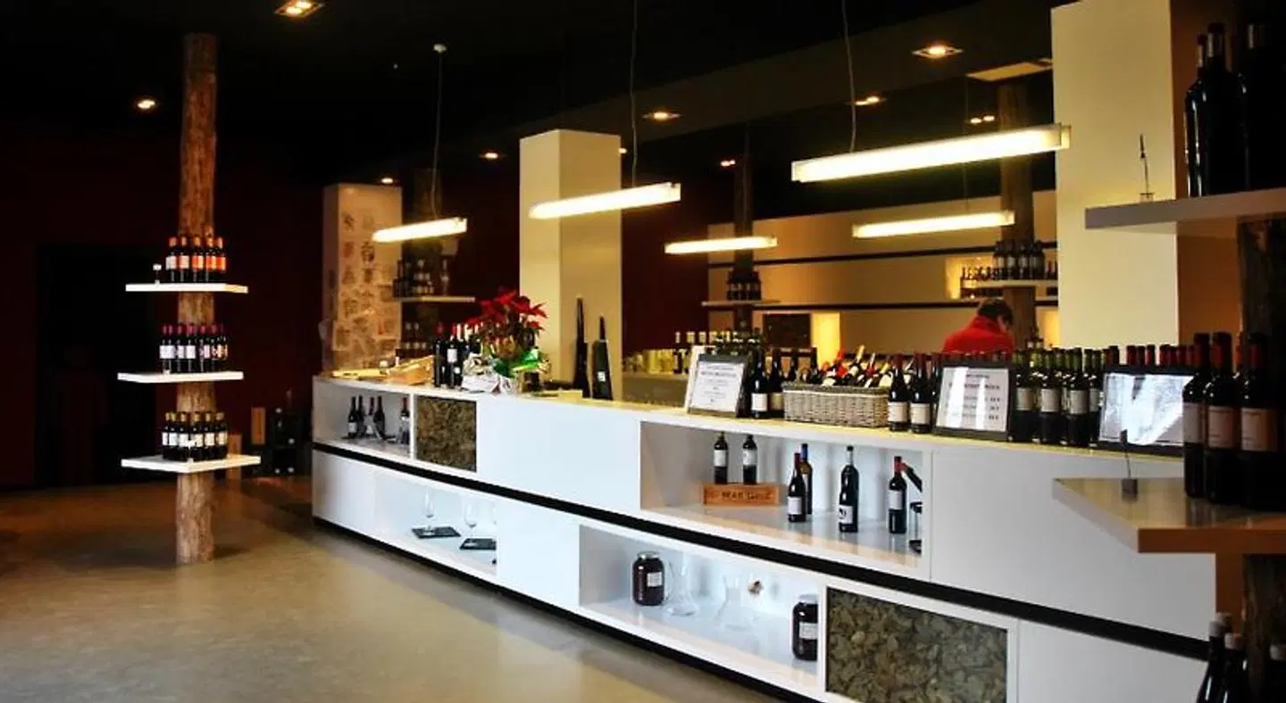 Hotel-Celler Buil & Gine BAR