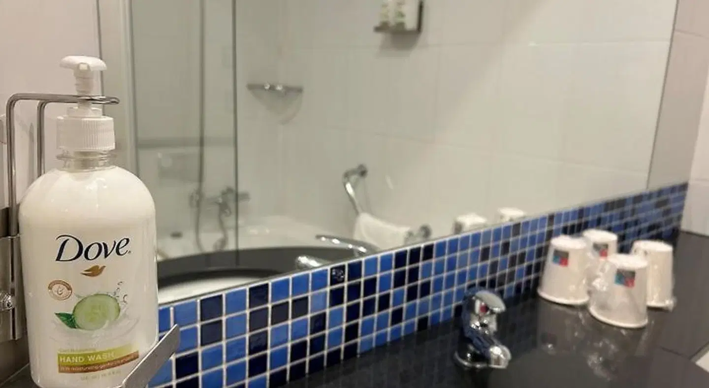 Holiday Inn Express Campo de Gibraltar-Barrios by IHG BATHROOM